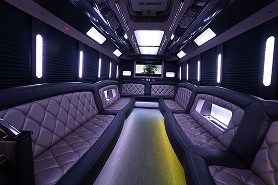 29-passenger limo bus